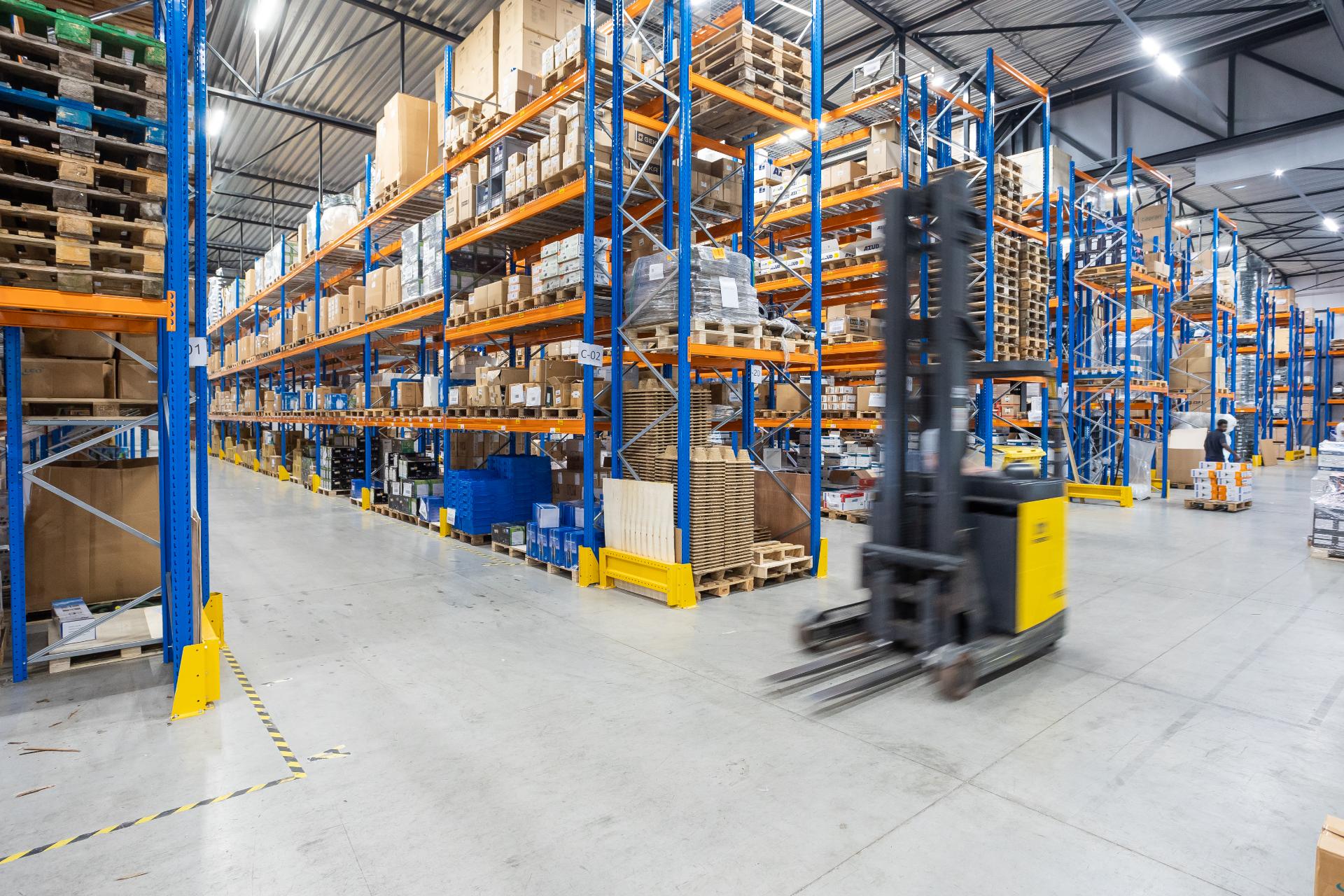 Mpi wilg arendonk 0385